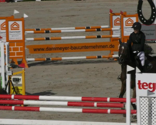 Reitturnier Harsum-Hüddessum 2022