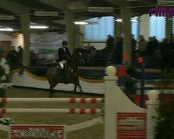 jumper Lauries Browni (Hanoverian, 2003, from Lauries Crusador xx)