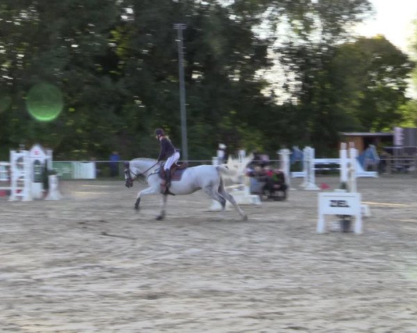 Reitturnier Kamen 2022