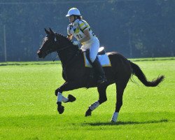 jumper Lord of Lindenhof (Rhinelander, 2001, from Lanciano)