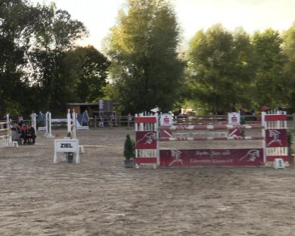 Reitturnier Kamen 2022