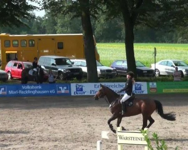 Dressurpferd Lotta (unbekannt,  )