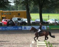Dressurpferd Lotta (unbekannt,  )