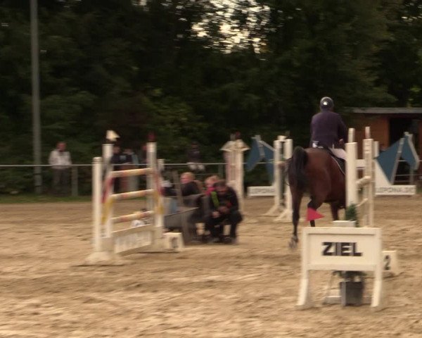 Reitturnier Kamen 2022
