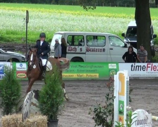 jumper Top Alice 2 (Welsh-Pony (Section B), 1998, from Flora's Hof Magic 6 WPB)