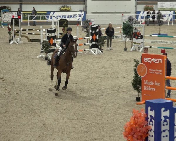 Reitturnier Borken 2022