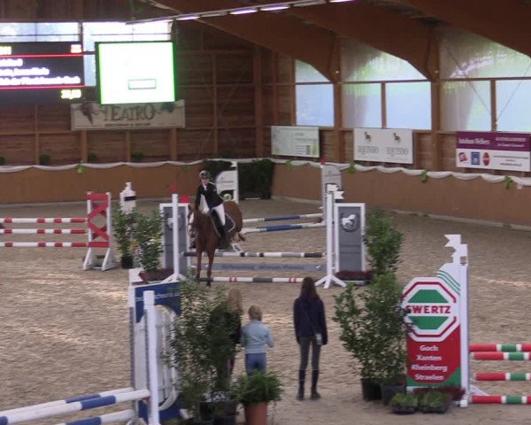 4. Ponyspringturnier Xanten - Reitanlage Miß 2022