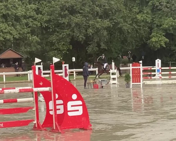 Video di Danica 31