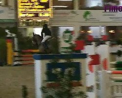 jumper Uppsala 19 (Hanoverian, 2007, from Uccello)