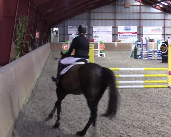 Jugendturnier Indoors Behrendorf 2022