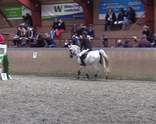 Jugendturnier Indoors Behrendorf 2022