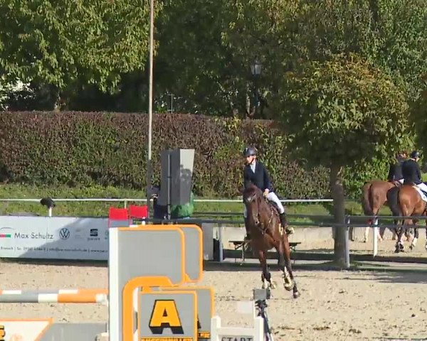 Reitturnier Frankenhof-Sonnefeld/Ofr. 2022