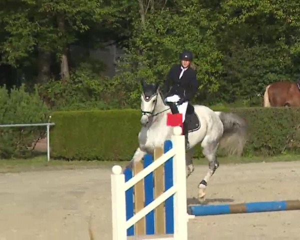 Reitturnier Frankenhof-Sonnefeld/Ofr. 2022