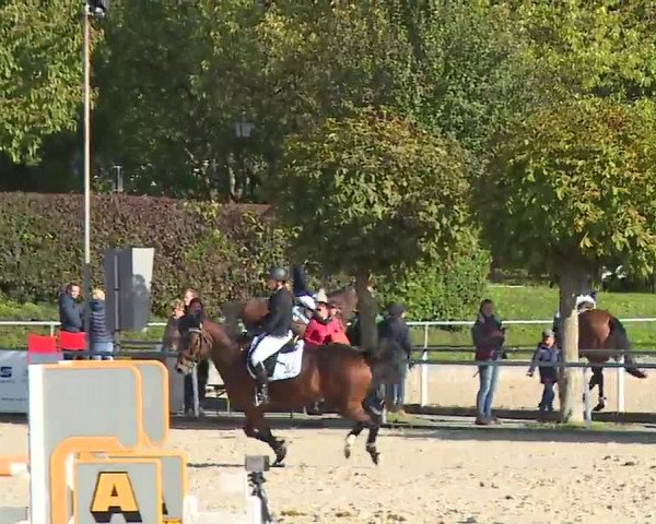 Reitturnier Frankenhof-Sonnefeld/Ofr. 2022