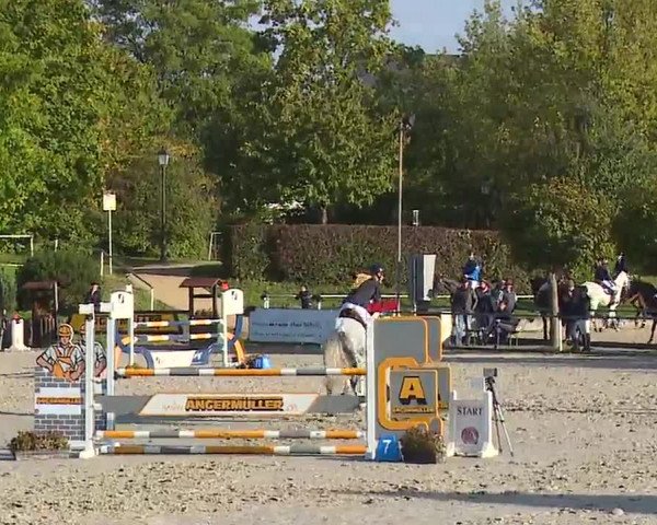 Reitturnier Frankenhof-Sonnefeld/Ofr. 2022