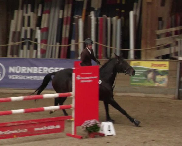 Reitturnier Böblingen 2022