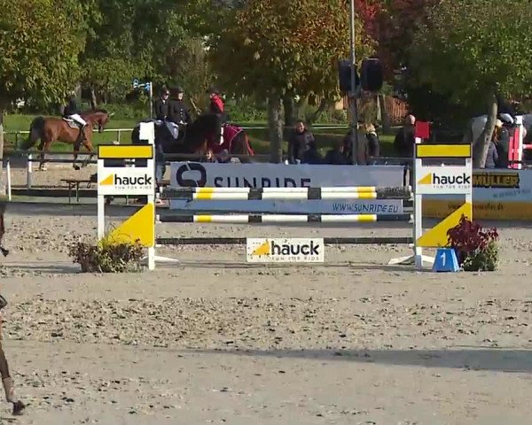 Reitturnier Frankenhof-Sonnefeld/Ofr. 2022