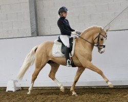 dressage horse Heiligenbergs Di Santo (German Riding Pony, 2015, from Drei D AT)