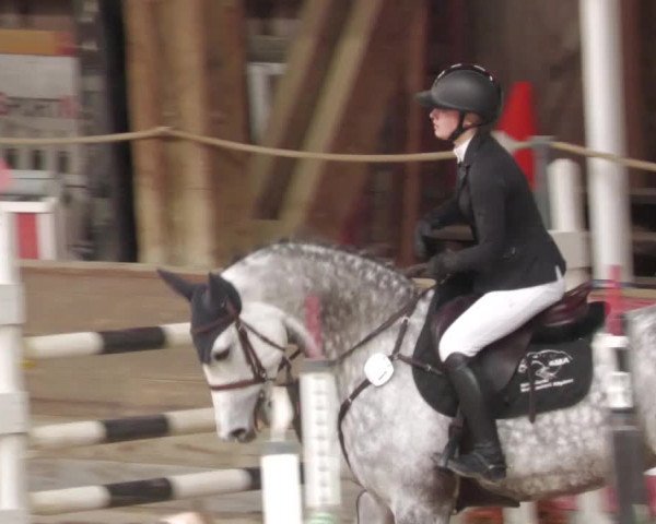 Reitturnier Böblingen 2022