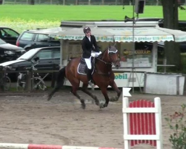 jumper Fabriano (Hanoverian, 1993, from Falkland)