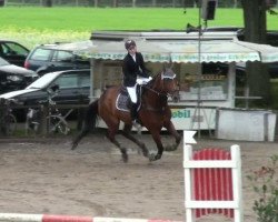 jumper Fabriano (Hanoverian, 1993, from Falkland)