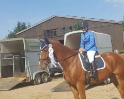 dressage horse Ricardo 561 (Bavarian, 2004, from Rivero II)