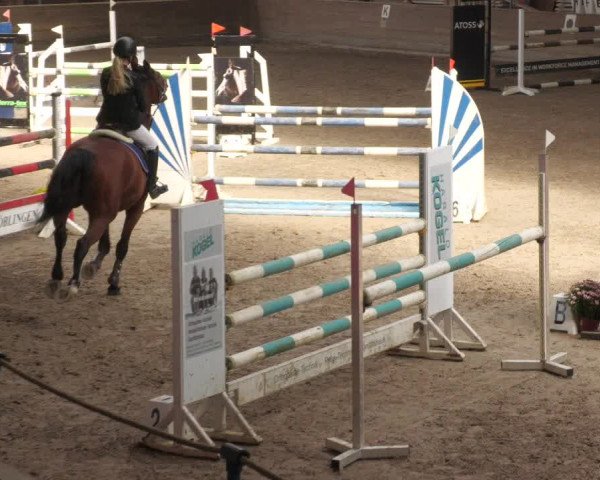 Reitturnier Böblingen 2022