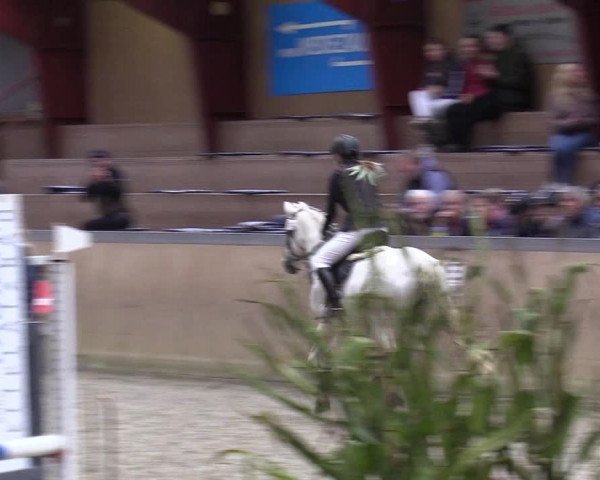 Jugendturnier Indoors Behrendorf 2022
