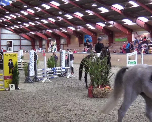 Jugendturnier Indoors Behrendorf 2022