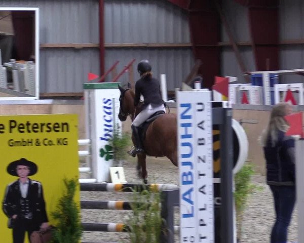 Jugendturnier Indoors Behrendorf 2022