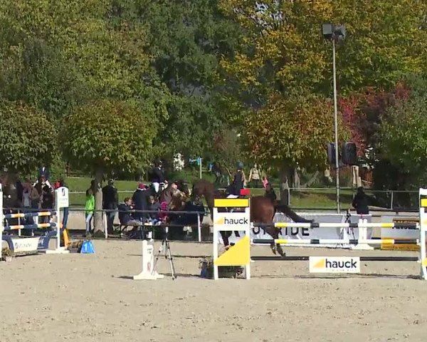 Reitturnier Frankenhof-Sonnefeld/Ofr. 2022