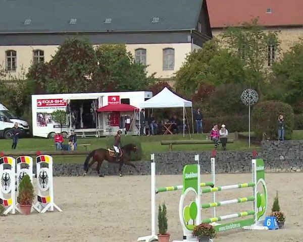 Reitturnier Frankenhof-Sonnefeld/Ofr. 2022