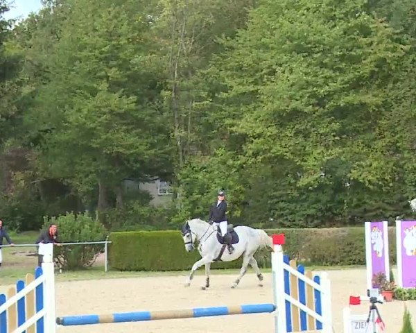 Reitturnier Frankenhof-Sonnefeld/Ofr. 2022