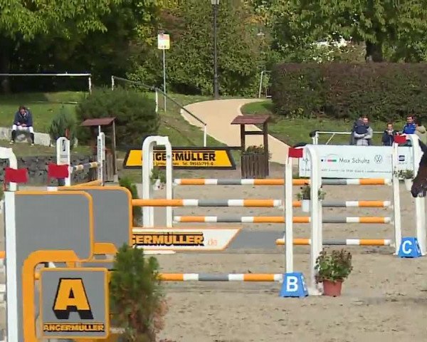 Reitturnier Frankenhof-Sonnefeld/Ofr. 2022
