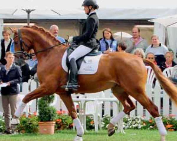 horse Danny White 2 (Westphalian, 2008, from Danone 4)