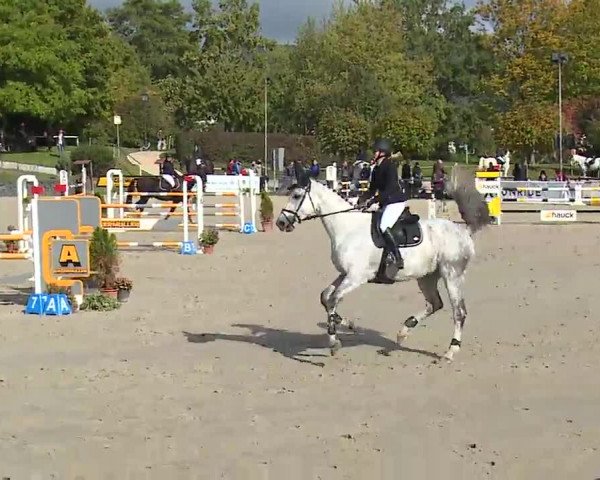 Reitturnier Frankenhof-Sonnefeld/Ofr. 2022