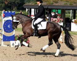 dressage horse Duke (Friese, 2006)