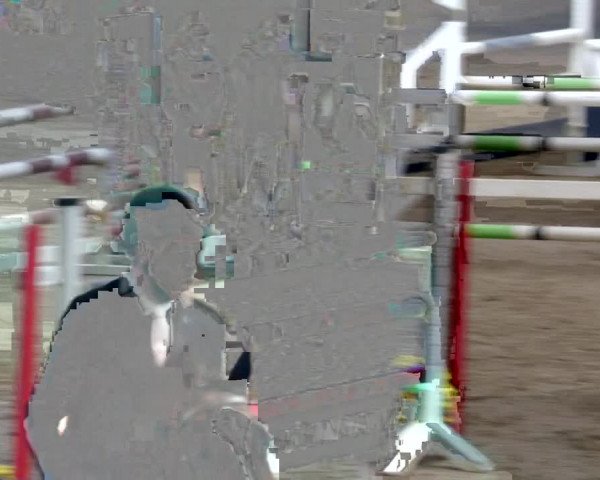 Reitturnier Böblingen 2022