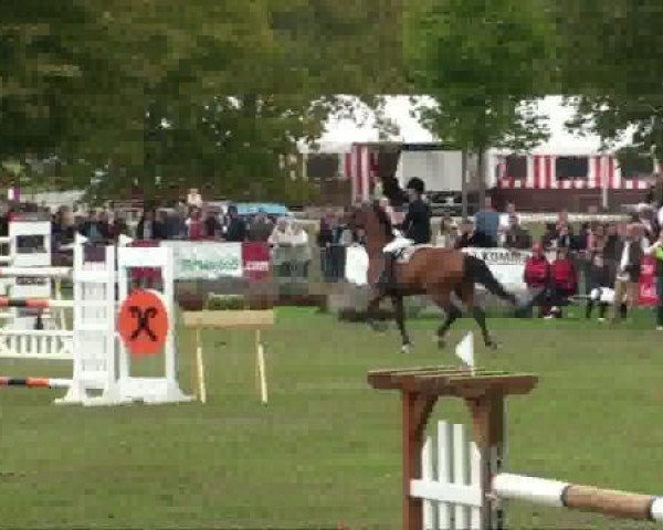 jumper Sundance (KWPN (Royal Dutch Sporthorse), 1999, from Monaco)