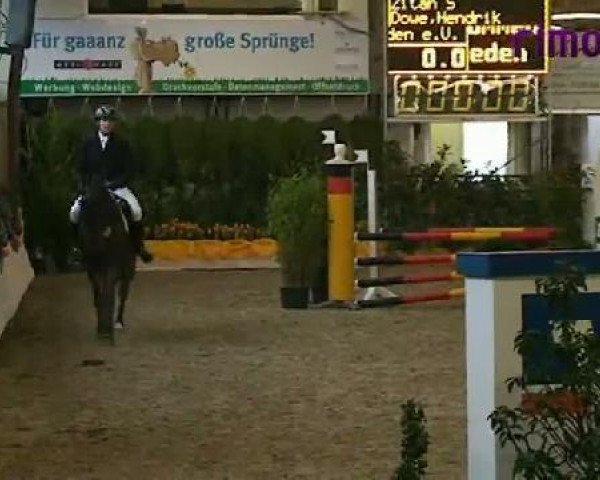 jumper Quibble 4 (Westphalian, 2007, from Quinta Real)