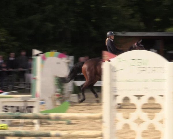 Reitturnier Kamen 2022