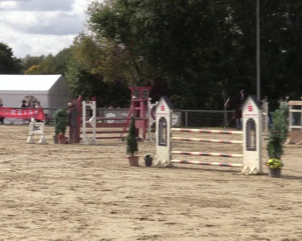 Reitturnier Kamen 2022