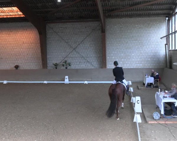 Reitturnier Kamen 2022