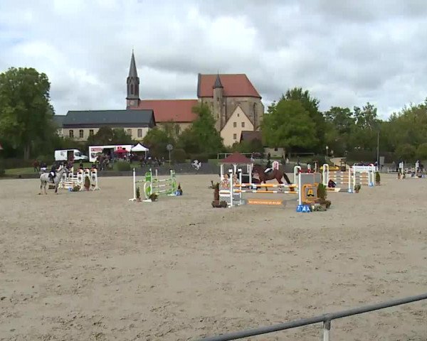 Reitturnier Frankenhof-Sonnefeld/Ofr. 2022