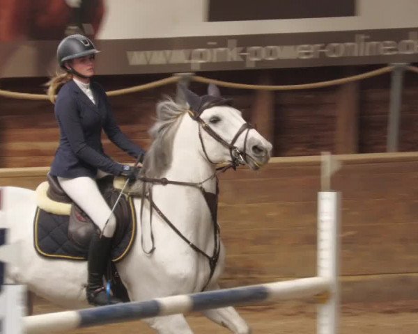 Reitturnier Böblingen 2022
