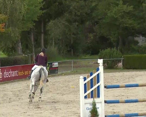 Reitturnier Frankenhof-Sonnefeld/Ofr. 2022