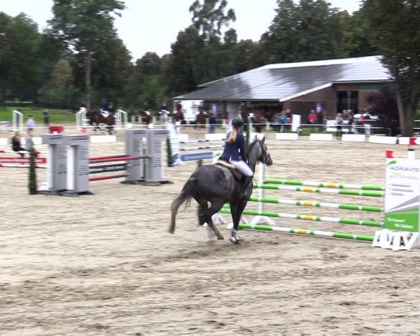 Springturnier Lüdinghausen 2021
