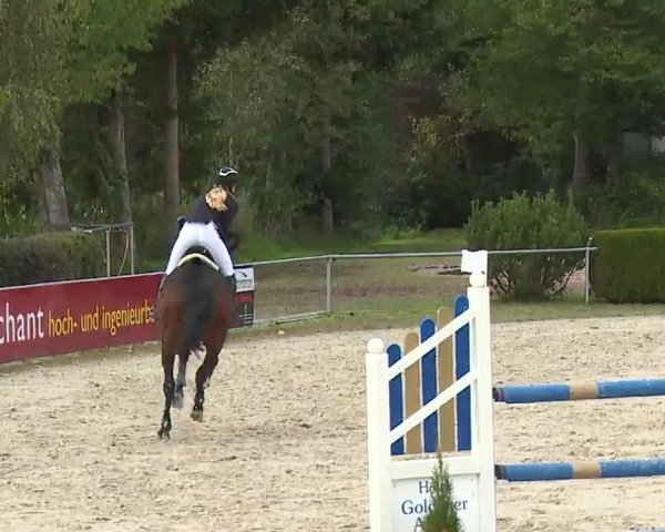 Reitturnier Frankenhof-Sonnefeld/Ofr. 2022