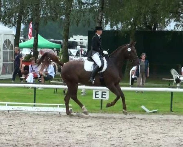Dressurpferd Fleurie for fun (Westfale, 2002, von Florestan I)