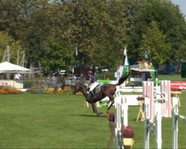 jumper Feline 69 (Hanoverian, 2001, from Federweisser)